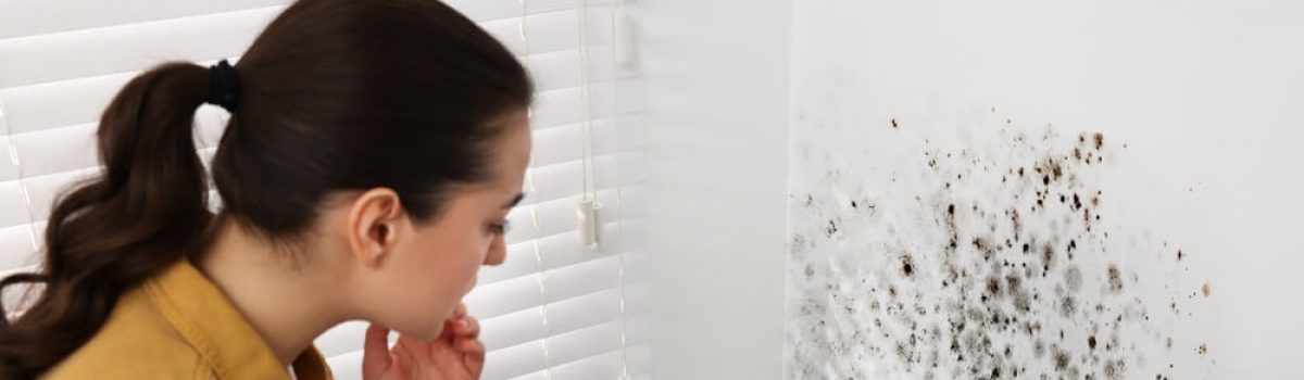 Como detectar e evitar a umidade em casa: guia prático para evitar problemas de saúde e danos em casa.